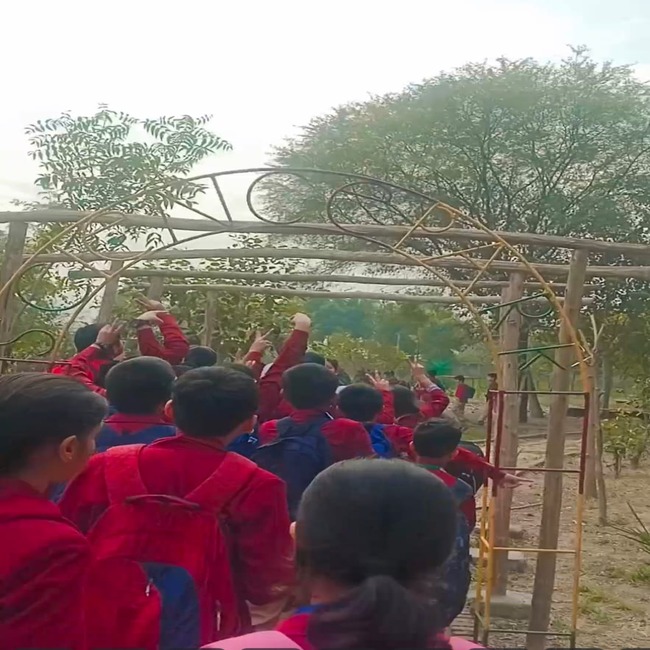 Class 6 excursion to the School eco park